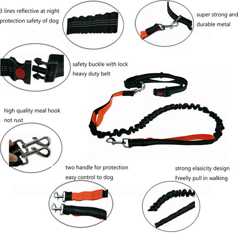 Elastic Running Dog Leash with Waist Belt - Accessories - Hoplite-Outfitters - Training, Racing and Recovery Gear