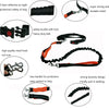 Image of Elastic Running Dog Leash with Waist Belt - Accessories - Hoplite-Outfitters - Training, Racing and Recovery Gear